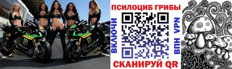 Галлюциногенные грибы GOLDEN TEACHER  Купить  Ковров 